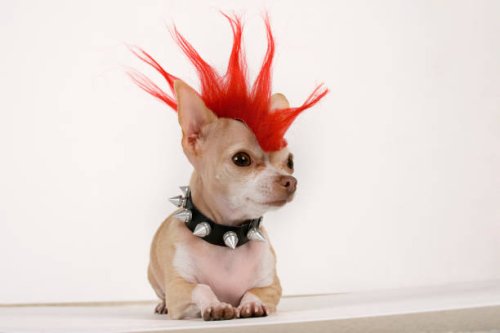 punk - hairstyle photos et images de collection
