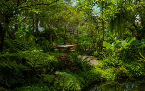 rainforest - garden decoration stock pictures, royalty-free photos & images