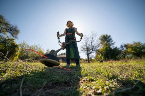 rasenmäher. es ist zeit für den grasschnitt. - garden decoration stock-fotos und bilder