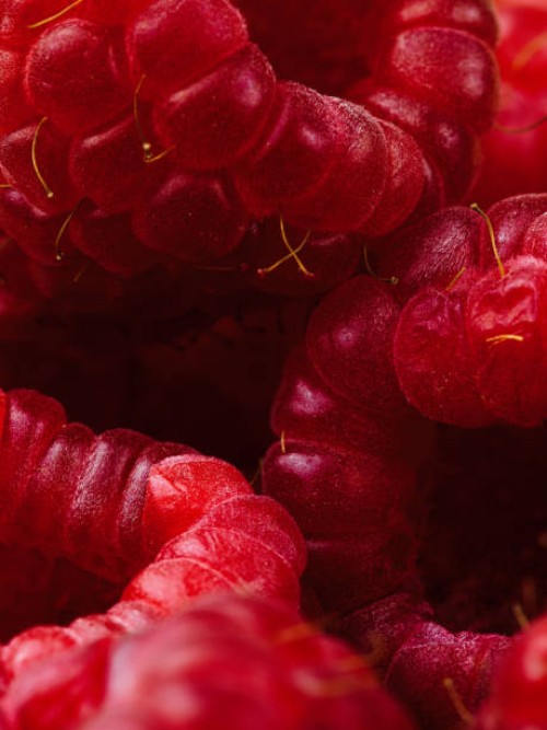 raspberries close up macro of fruit berries - food stock pictures, royalty-free photos & images