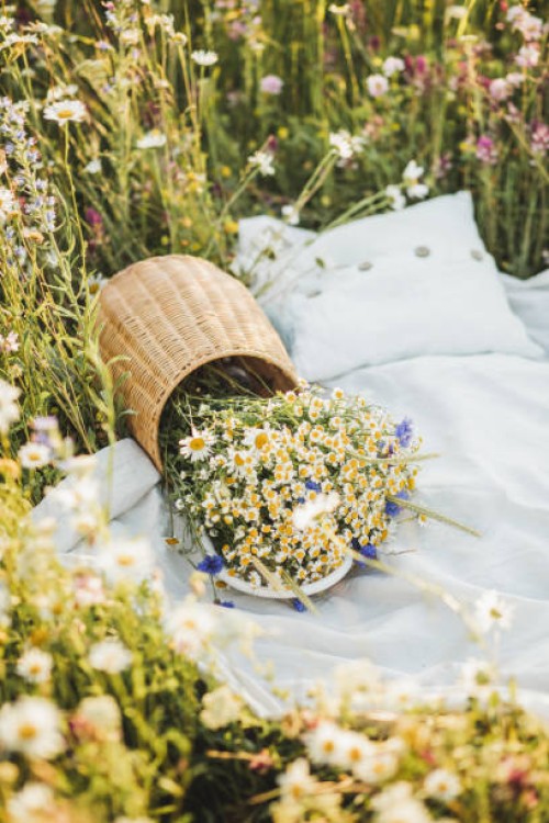 rattan toy for decoration baby basket with flowers. - garden decoration stock pictures, royalty-free photos & images