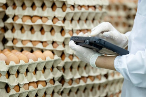 real-time production data and increased efficiency with poultry and eggs layer management solution. close-up shot of a production line worker using a tablet to input quantity data of fresh eggs on a package after the sorting 