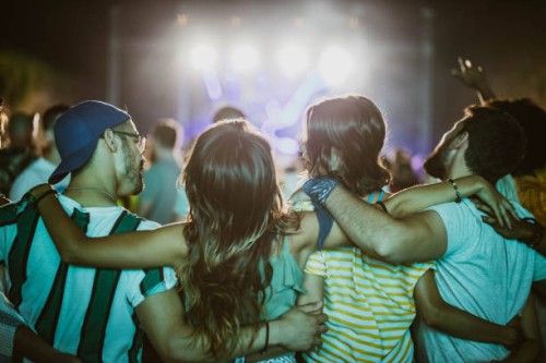rear view of embraced friends on a music concert at night. - concert stock pictures, royalty-free photos & images