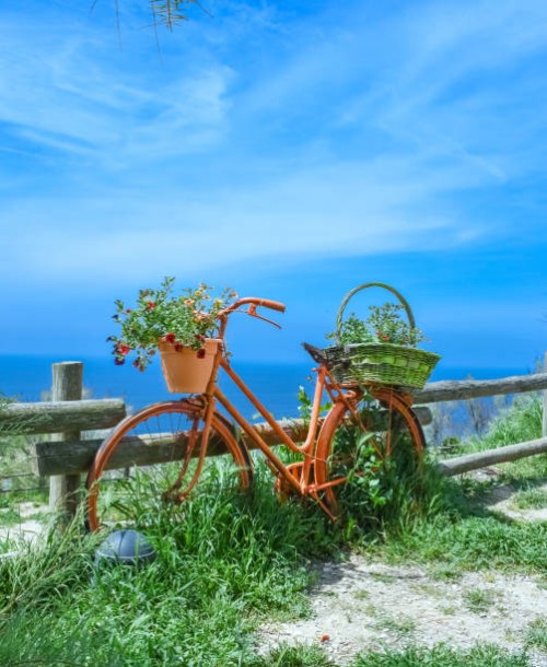 recycled bicycle decorated with flowers in bloom in rural setting around san remo, liguria, italy - garden decoration stock pictures, royalty-free photos & images