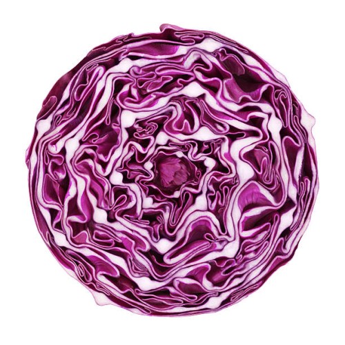 red cabbage portion on white - food stock pictures, royalty-free photos & images