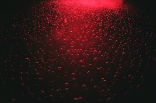 red lit festival crowd - concert stock pictures, royalty-free photos & images