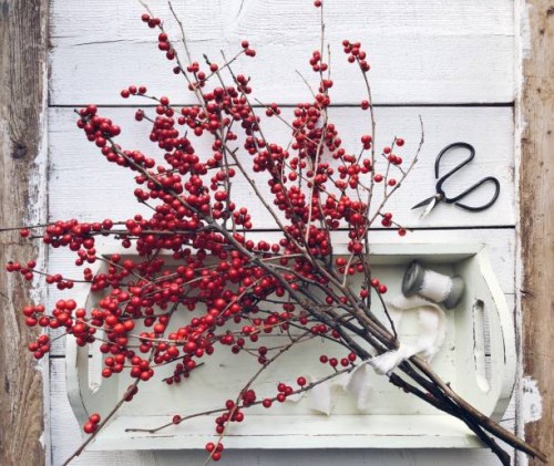 red winterberry branches on a tray with ribbon and scissors - home decoration stock pictures, royalty-free photos & images