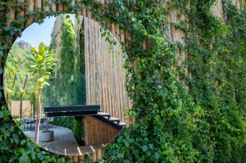 reflect mirror and ivy growth cover bamboo wall - garden decoration stock pictures, royalty-free photos & images