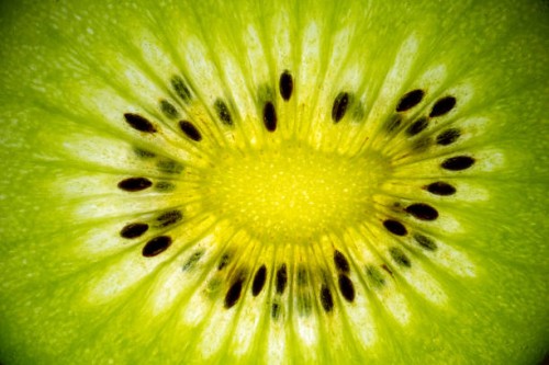 refreshing fruit kiwi slice macro with vibrant colors - food stock pictures, royalty-free photos & images