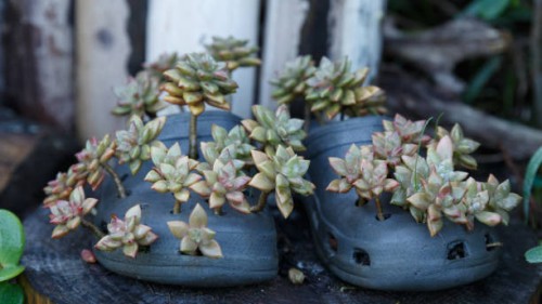 retha's - trail 2015-06-22 - garden decoration stock-fotos und bilder