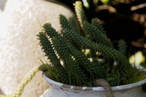 retha's - trail 2015-08-22 - garden decoration stock-fotos und bilder