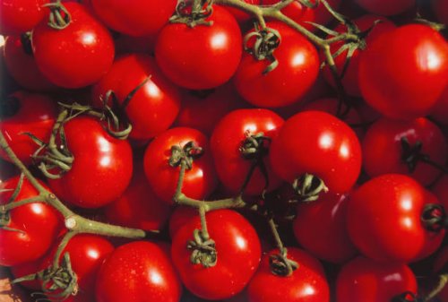 ripe tomatoes - food stock pictures, royalty-free photos & images