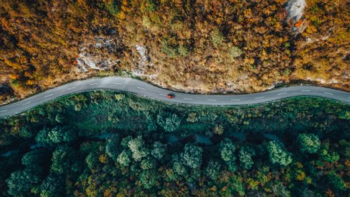 road through the forest - travel stock pictures, royalty-free photos & images