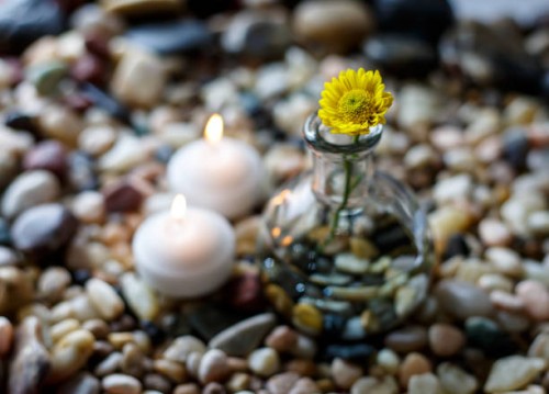 rock garden - garden decoration stock pictures, royalty-free photos & images