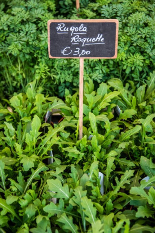 rocket on sale at market - garden decoration stock pictures, royalty-free photos & images