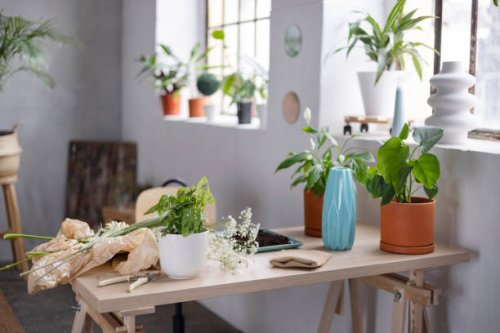 room with no people and houseplants on the table - garden decoration stock pictures, royalty-free photos & images