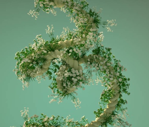 rope with daisy flowers - garden decoration stock pictures, royalty-free photos & images