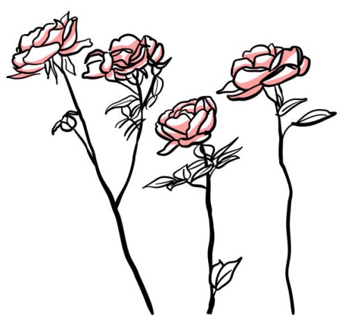 rose garden - garden decoration stock illustrations