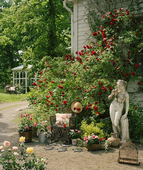 rose garden with women statue - garden decoration stock pictures, royalty-free photos & images