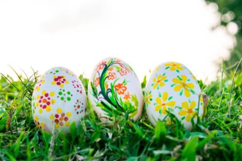 row of easter eggs with daisy on fresh green grass - garden decoration stock pictures, royalty-free photos & images