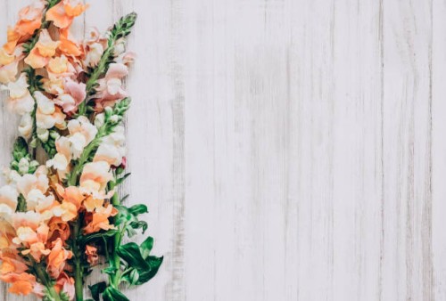rustic floral arrangement with snapdragons on distressed wood background for spring decor and design. concept pattern with copy space. - garden decoration stock pictures, royalty-free photos & images
