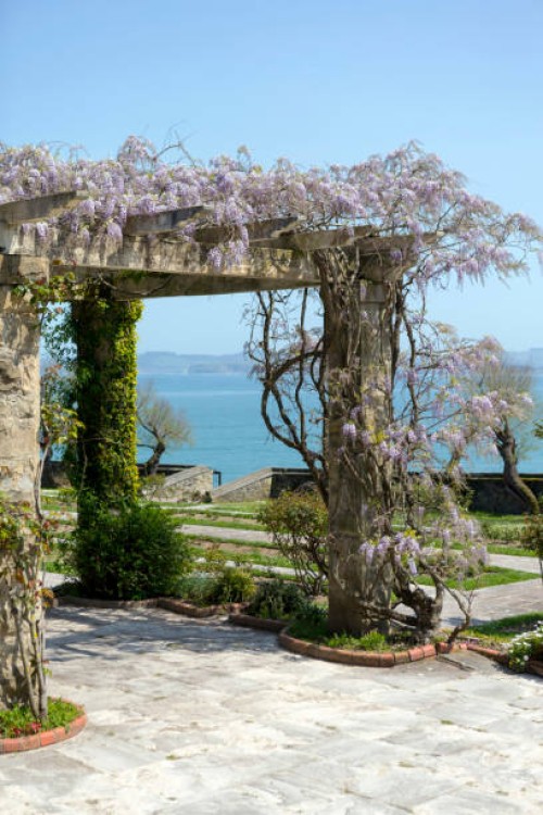 santander coastline, northern spain - garden decoration stock pictures, royalty-free photos & images