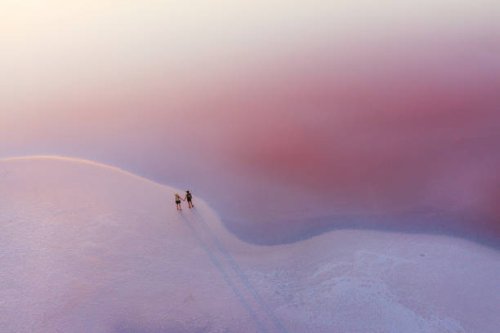scenic aerial view of couple walking on pink salt lake - travel stock pictures, royalty-free photos & images