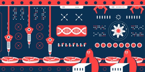 scientist (engineer, biochemist) team making cultured meat (artificial meat, in vitro meat, lab-grown burger) in a factory with production line. genetic engineering, genetic modification, gmo and gene manipulation concept -