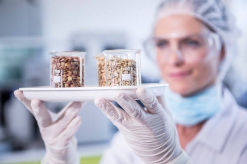 scientist in lab holding tray with seed samples - food stock pictures, royalty-free photos & images