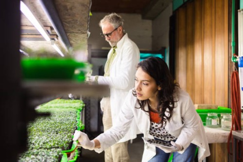 scientists - food stock pictures, royalty-free photos & images