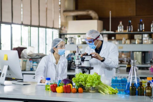 scientists working in the laboratory - food stock pictures, royalty-free photos & images