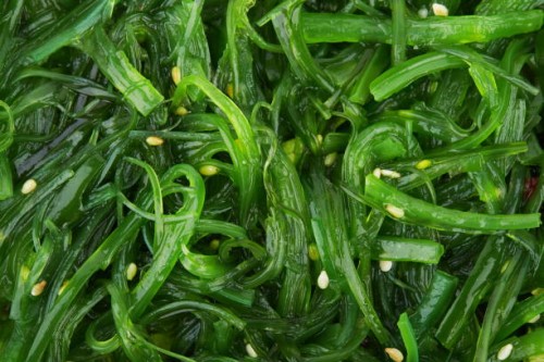 seaweed salad as a background - food stock pictures, royalty-free photos & images