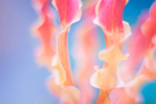 secret garden - garden decoration stock pictures, royalty-free photos & images