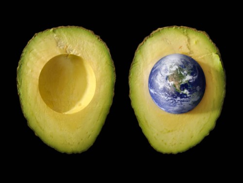 seed of life; planet earth as pit in green avocado - food stock pictures, royalty-free photos & images
