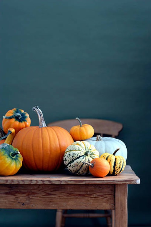 selection of pumpkins and squash on table - home decoration stock pictures, royalty-free photos & images
