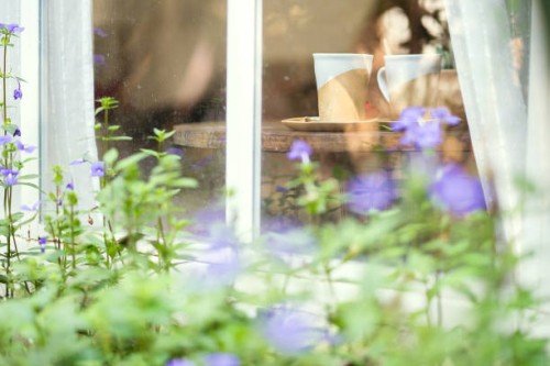 selective focus ceramic cup of coffee near window and beautiful garden and cozy moment at home - garden decoration stock pictures, royalty-free photos & images