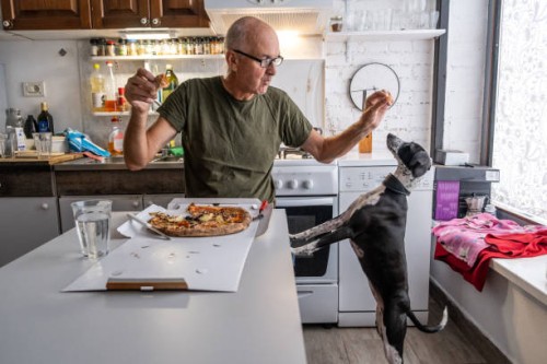 senior man eating pizza at home with his dog - junk food stock pictures, royalty-free photos & images