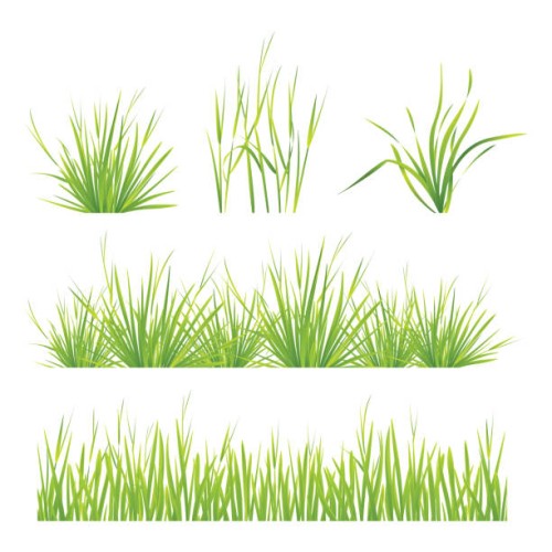 set of green grass pattern - garden decoration stock illustrations