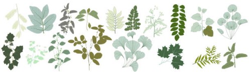 set of simple flat color green leaves elements. collection botanical vector isolated on white background suitable for wedding invitation, save the date, thank you, or greeting card. - garden decoration stock illustrations