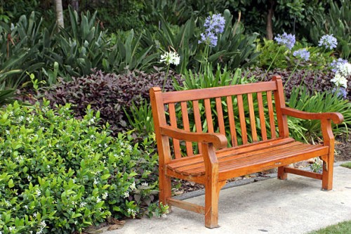 seul banc de musculation - garden decoration photos et images de collection
