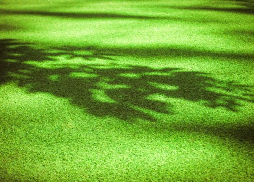 shadow of a tree on the green grass lawn - garden decoration stock pictures, royalty-free photos & images