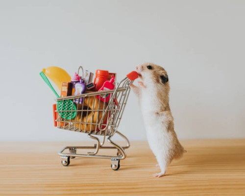 shopping hamster - food stock pictures, royalty-free photos & images