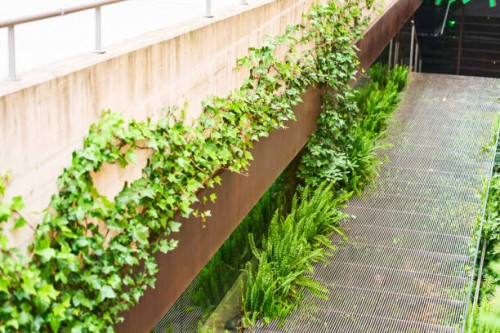 side view of a plant decoration on the outside wall of a building with no people around it - garden decoration stock pictures, royalty-free photos & images