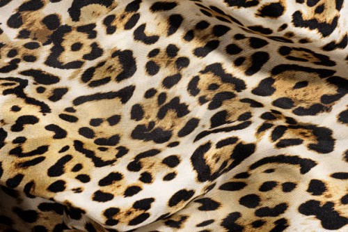 silk scarf in leopard print. - fashion stock pictures, royalty-free photos & images