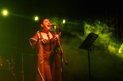 singer of a music band performing on, stage light and smoke effects. - concert stock pictures, royalty-free photos & images