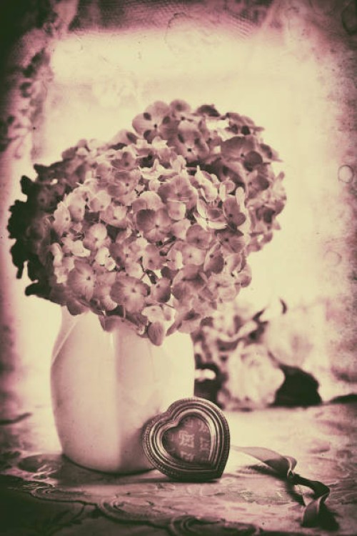 singing in the silent swerve a heart is free - garden decoration stock pictures, royalty-free photos & images