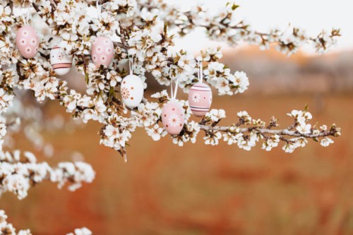 six floral easter eggs in bright pink-beige and brown tones hanging on an almond tree with blossoms with red-brown landscape in the blurred background - home decoration stock pictures, royalty-free photos & images