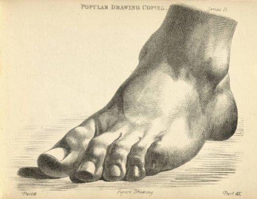 sketching foot standing flat, victorian art figure drawing copies 19th century - nails art stock illustrations
