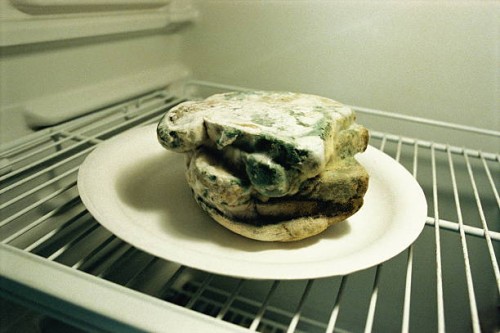 slices of bread with mould in refrigerator - food stock pictures, royalty-free photos & images