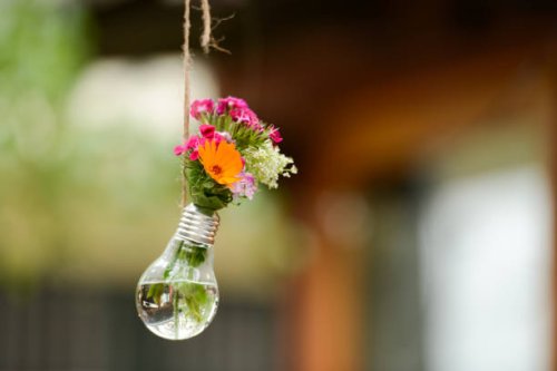 small flowers in a lightbulb in backyard - garden decoration stock pictures, royalty-free photos & images